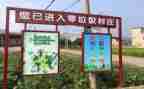 关于对垃圾分类的心得体会5篇