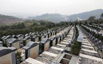 扫烈士陵园心得体会7篇