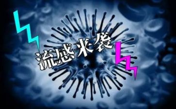 防流感的演讲稿6篇