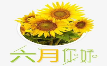 六月份工作计划7篇
