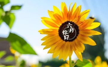 幼儿园2024年六月份工作总结精选6篇