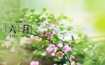 幼儿园2024年六月份工作总结通用8篇