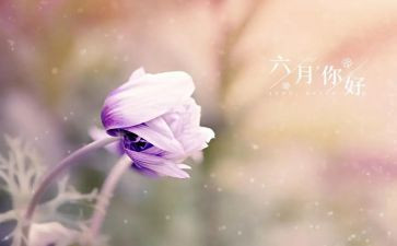 幼儿小班六月份工作计划7篇