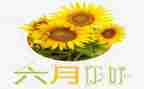 六月份工作计划7篇