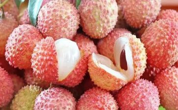 《荔枝》读后感6篇