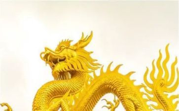 介绍龙的作文300字优秀7篇