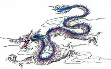 介绍龙的作文300字参考7篇