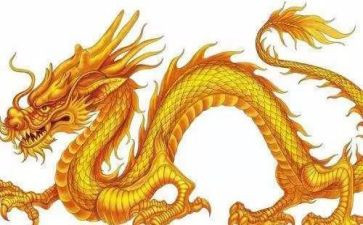 钓龙虾的作文300字5篇