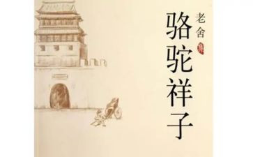 卖骆驼读后感300字5篇