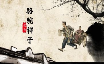 骆驼祥子的心得体会优秀8篇