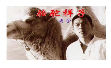 骆驼祥子作文读后感通用5篇