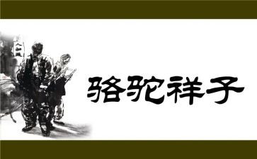 骆驼祥子的心得体会7篇