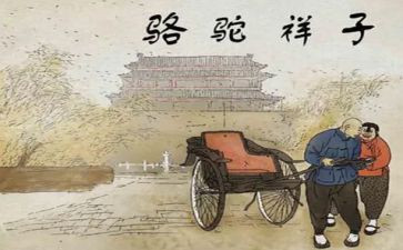 骆驼祥子的心得体会优质6篇