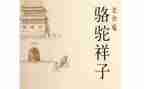 卖骆驼读后感300字5篇