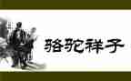 骆驼读后感200字6篇