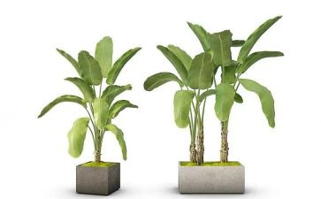 绿化所工作计划模板8篇