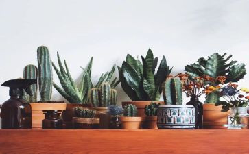 绿化办的工作计划范文5篇