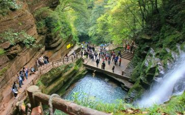 旅游公司个人总结6篇