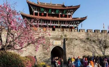 旅游岛的演讲稿通用7篇