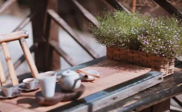急性子和慢性子的作文精选6篇