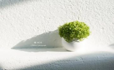 急性子和慢性子的作文5篇