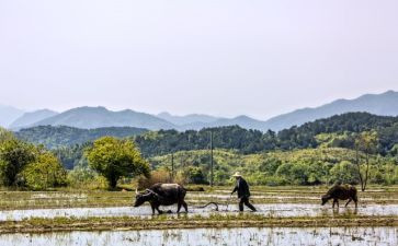 忙与闲为话题的作文最新8篇