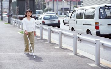 国际盲人节活动方案5篇