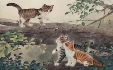 我与猫的故事作文通用6篇