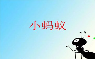 观察蚂蚁作文通用8篇