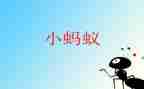 观察蚂蚁作文通用8篇