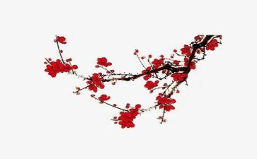 腊梅花作文600字8篇