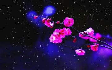 梅花作文300字6篇