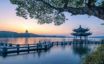 家的美景作文300字8篇