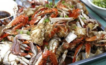主题美食演讲稿7篇