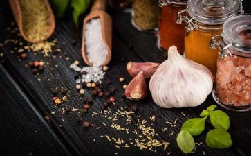 美食英语的演讲稿7篇