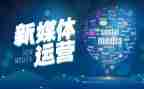2024新媒体工作总结报告6篇