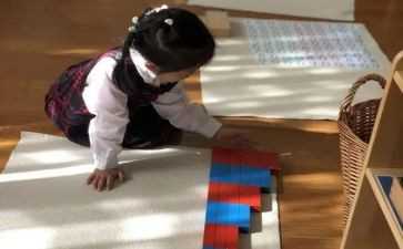 幼儿园蒙氏大班个人总结通用7篇