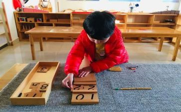 蒙氏保育工作计划参考7篇