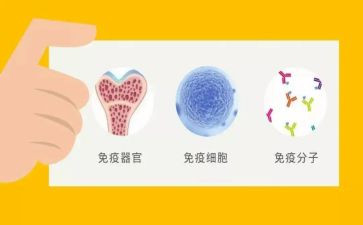 在免疫时的自我鉴定6篇