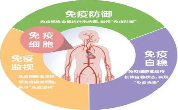 免疫规划股工作计划5篇
