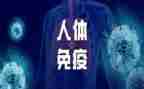 计划免疫年度工作计划7篇