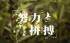 名人故事作文7篇