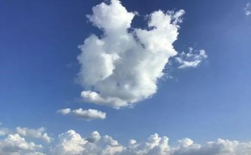 明天的我话题作文6篇