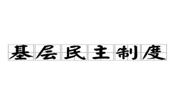 团员民主评议个人总结5篇