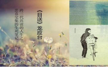 目送的读后感800字6篇