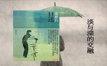 龙应台的目送《目送》读后感8篇