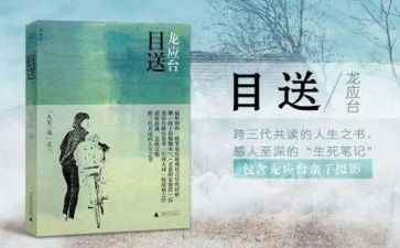 目送的读后感500字5篇