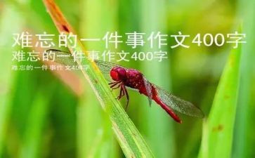 500字难忘的一件事作文5篇