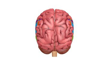脑外科护士个人年终总结优秀5篇