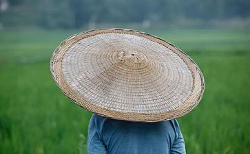 《农夫与蛇》的读后感模板8篇